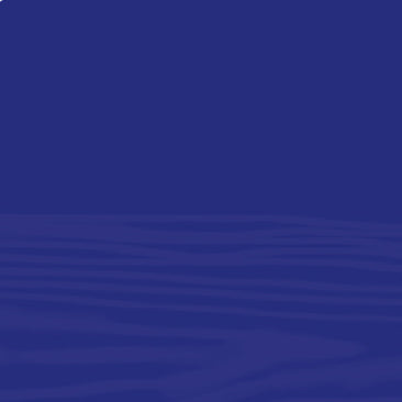 Softwax Filler - Yumuşak Tamir Dolgu Mumu 8cm / 15gr