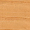 Teak Oil Spray - Sprey Tik Yağı