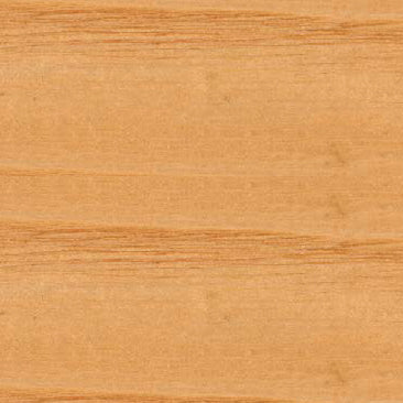 Teak Oil Spray - Sprey Tik Yağı